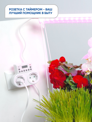 Розетка FERON TM25