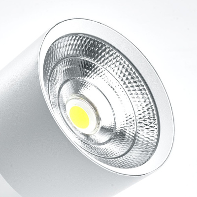 Светильник накладной светодиодный для акцентного освещения FERON AL520