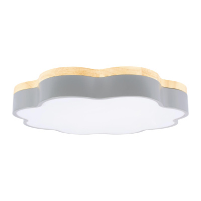 10225/36 Grey Потолочный светильник LOFT IT Axel