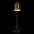 10144 Gold Настольная лампа LOFT IT Tango