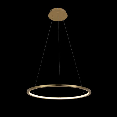 10014M Подвесной светильник LOFT IT Ring