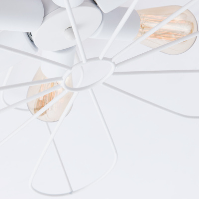 Потолочная люстра Arte Lamp CAMOMILLA