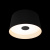 10360S Black Потолочный светильник LOFT IT Duo