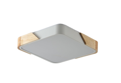 Светильник ZORTES ALBERRO ZRS.01285.24, Мощность - 24Вт, Тип лампы: LED, В - 50мм / Д - 300мм / Ш - 300мм