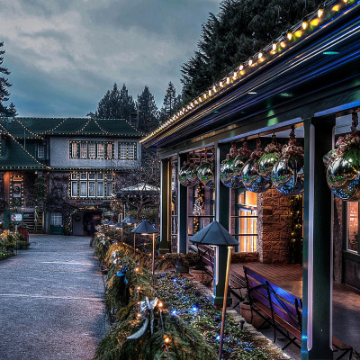 Гирлянда "Белт-лайт" FERON CL50-50