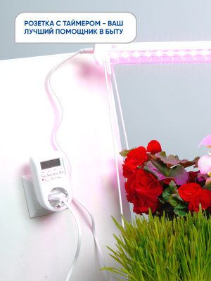 Розетка FERON TM26